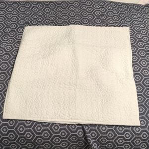 Crate and Barrel Euro Sham